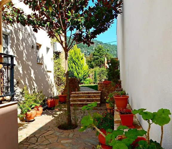 Panorama And * Chrysi Ammoudia